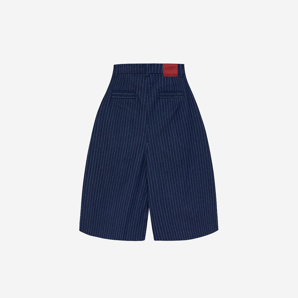 CLASSIC STRIPE DENIM PLEATED SHORTS